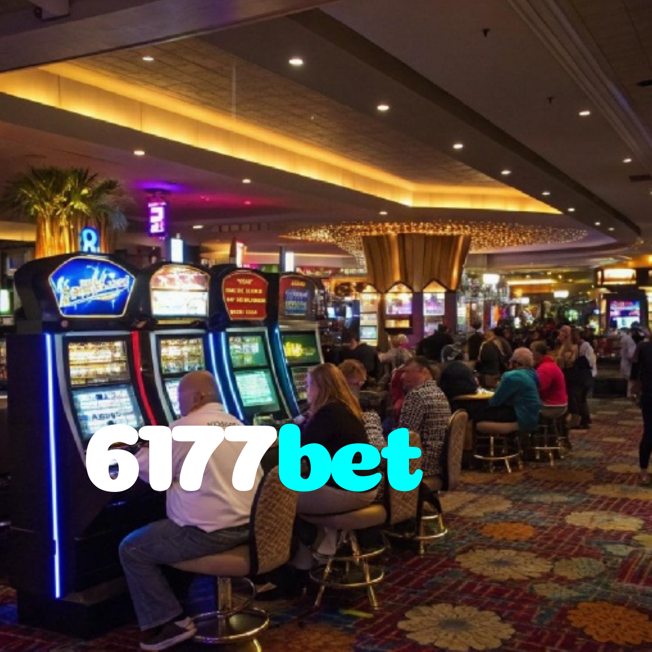 6177bet